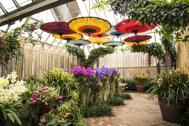 Chicago Botanic Garden Asia In Bloom PAGODA RED Stories