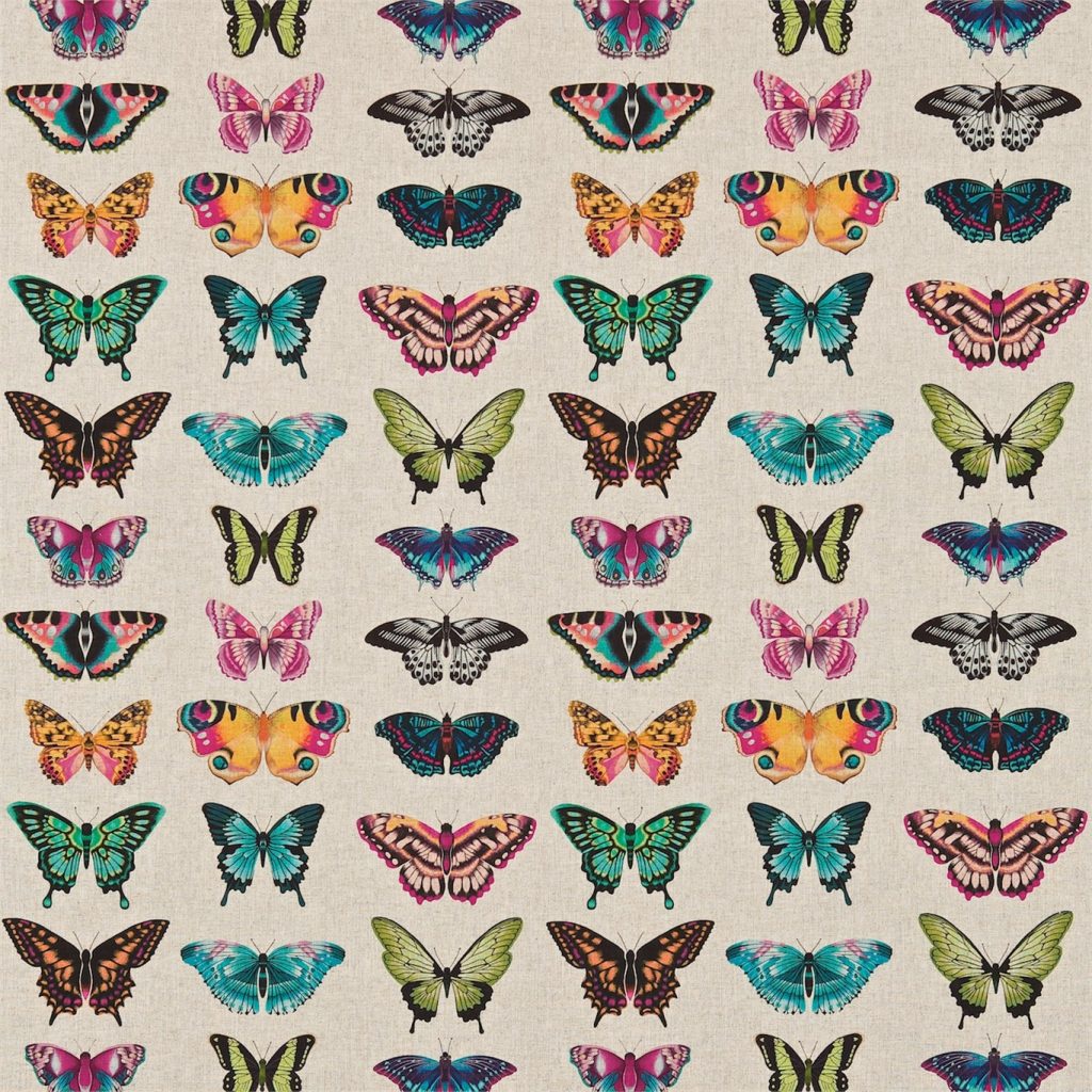 Papilio Pattern by Harlequin