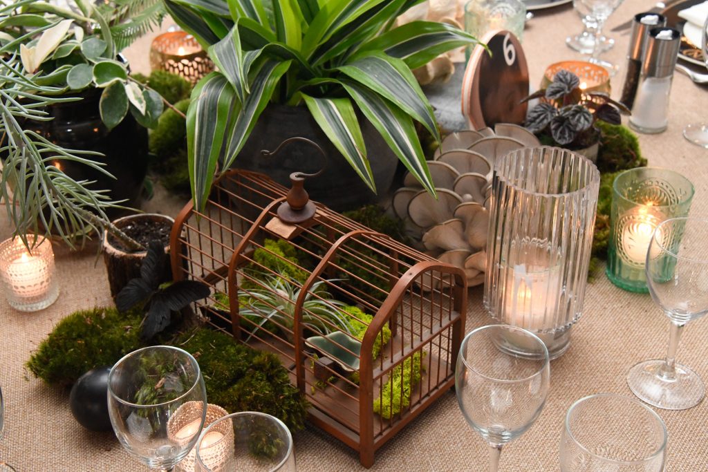A bamboo birdcage reimagined as a tabletop centerpiece.