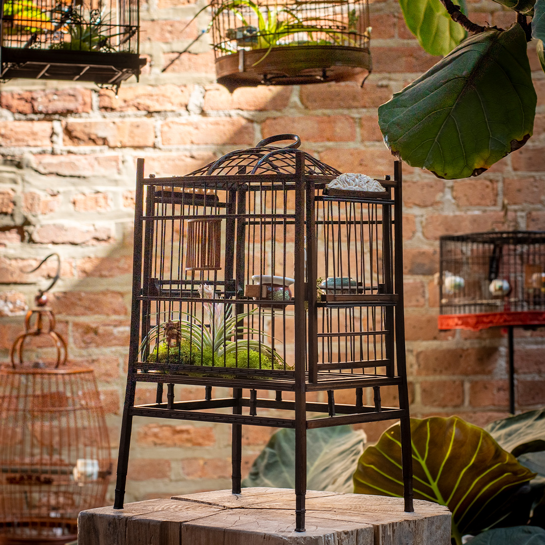 Luxe Life: The Custom Homes of Chinese Songbirds - PAGODA RED Stories